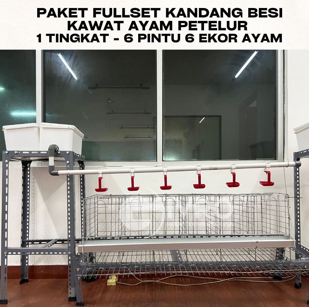 Paket-Fullset-1-Tingkat-6-Pintu-6-Ayam.jpg